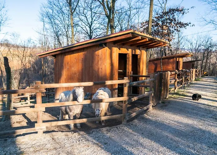 La Pausa Del CollioAgriturismo